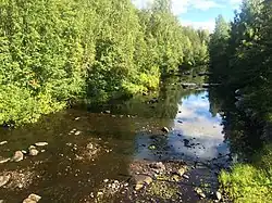 Вид против течения