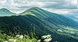 Тумсой-Лам, Гумс таьӀан корт