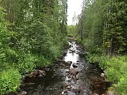 Вид по течению