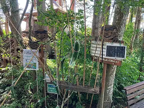 Удочки и наживка для ловли капп