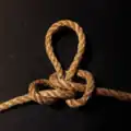 Бабочка, завязанная бытовой джутовой верёвкой