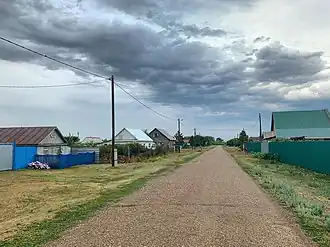 единственная улица деревни Светлая