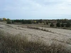 Лес рядом с хутором