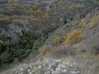 Урочище Карасу-Баши, исток Биюк-Карасу, Крым. Фото А. Трифонова