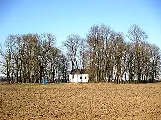 Урочище Ельня. 2015 год.