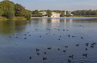 вид на пруд со стороны острова