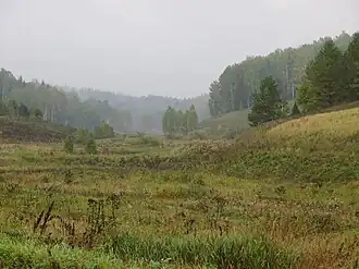 Лог Уфимского плато