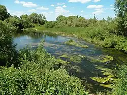 Низовье Рановы около Курбатово