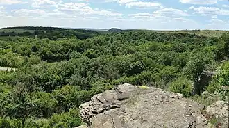 Байрачный лес