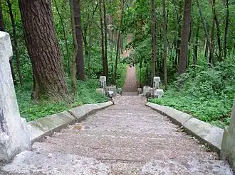 Лестница дачи Куропаткина