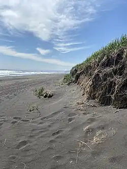 Склон, поросший растительностью