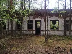 Пассажирское здание.