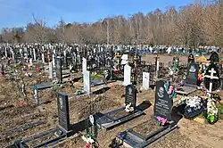 Царицынское кладбище