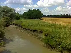 Чамлык в станице Петропавловской