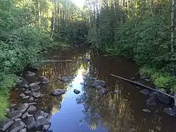 Вид по течению