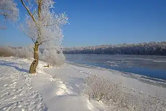 Зимняя Десна