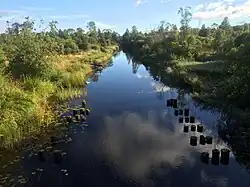 Вид против течения