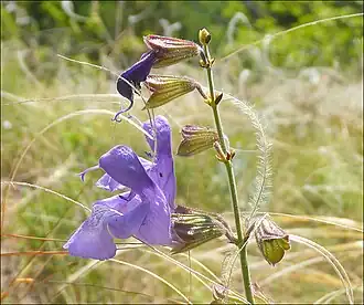 Маркотхский хребет, южнее Новороссийска