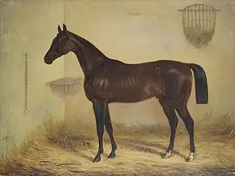 Гнедой конь Манифик (1853)