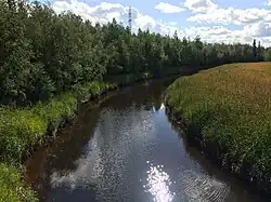 Вид против течения