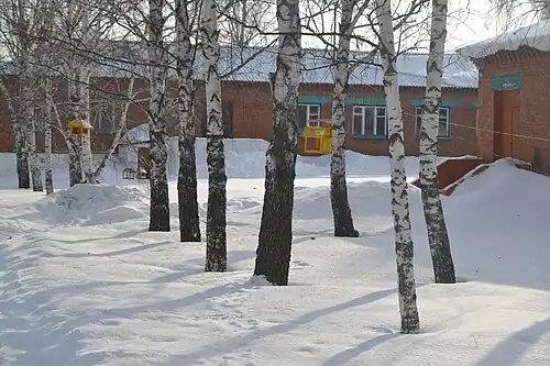 Школьный двор