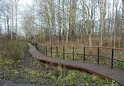 Экологическая тропа