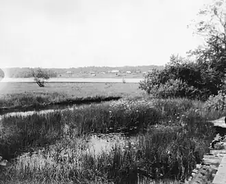 Впадение Западной Двины (на первом плане) в северную часть озера Охват возле д. Лауга. Фото 1986 г.