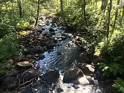 Вид по течению