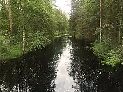 Юуванйоки в среднем течении. Вид против течения