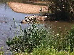 Плотина для ловли рыбы в реке Иордан недалеко от Ум-Джуни