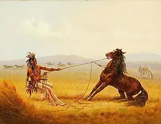 Индеец — укротитель мустангов.