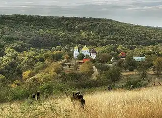 Вид на село с казацкого кладбища