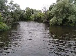 Сенгилейка, территория города Сенгилей