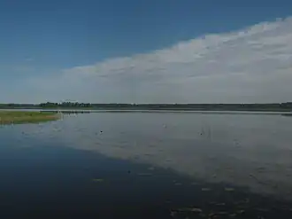 Вид на озеро Яссы летом 2021 года