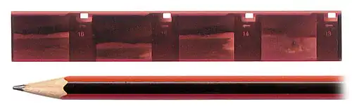 Отрезанная полоска (111×16 мм) с негативными кадрами плёнки типа 110.