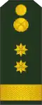 Locotenent colonel (Подполковник)