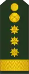 Colonel (Полковник)