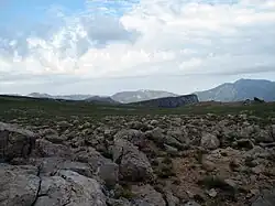 Поверхность плато