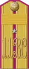 Погон воинского звания(1904-1907 гг.)«Зауряд-прапорщик,произведённый из фельдфебелей»