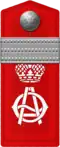 Вахмистр Крымского конного императрицы Александры Федоровны полка (погон с вензелевым изображением Имён Их Императорских Величеств Государынь Императриц образца 1914 года)