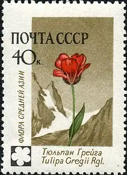 ЦФА 2497
