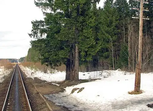 Вид в сторону Яккимы.