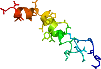 Solution phase NMR structure of orexin A based on the PDB coordinates 1R02