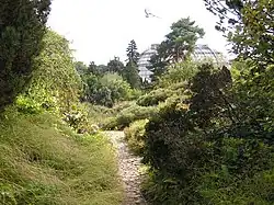 Альпийский ландшафт