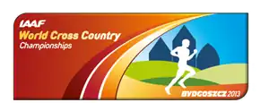 Чемпионат мира по кроссу 2013