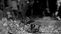 «Вольные движения», 2013