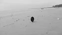 «Фильм для воображаемой музыки», 2014