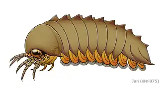 Реконструкция