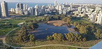 Небоскребы Нетании (2020 год)