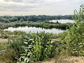 Нуждающийся в охране биотоп«Озеро Бушберг»
